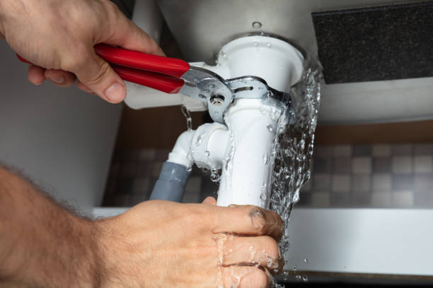 Best Professional water damage repair  in Lewistown, MT