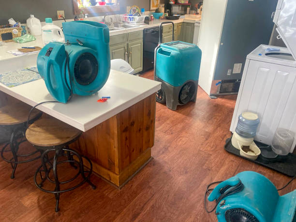 Best Basement water damage restoration  in Lewistown, MT