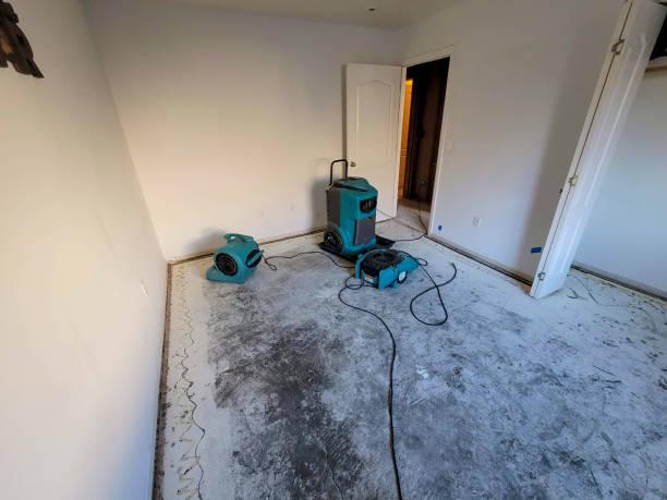 Best Ceiling water damage repair  in Lewistown, MT