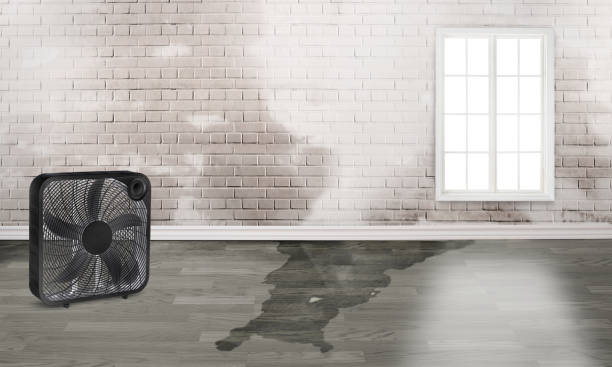 Professional Water damage restoration in Lewistown, MT