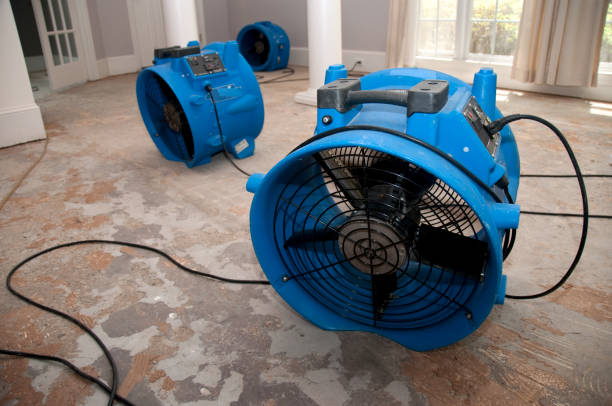 Best Water damage restoration near me  in Lewistown, MT