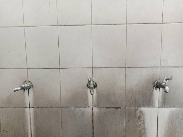 Best 24/7 water damage repair  in Lewistown, MT
