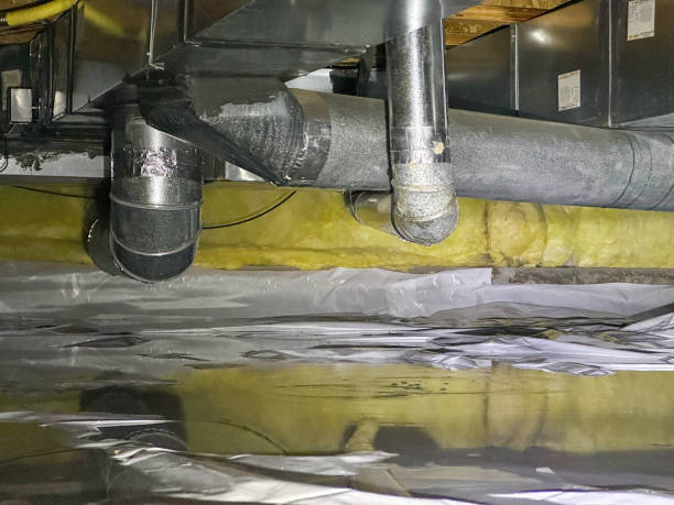 Best Emergency water extraction  in Lewistown, MT