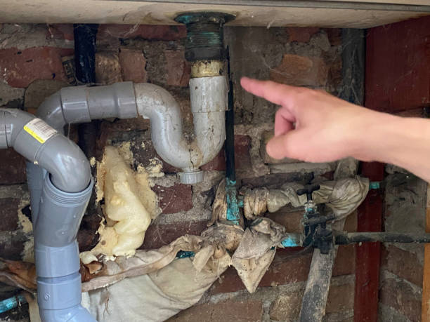 Best Flooded house restoration  in Lewistown, MT