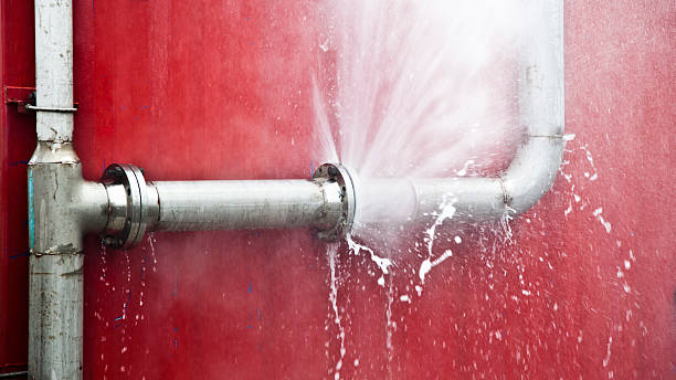 Best Flood damage cleanup  in Lewistown, MT